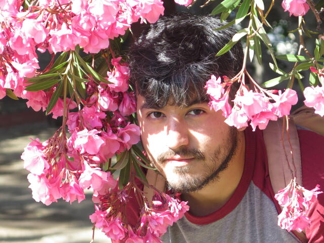 author_avatar