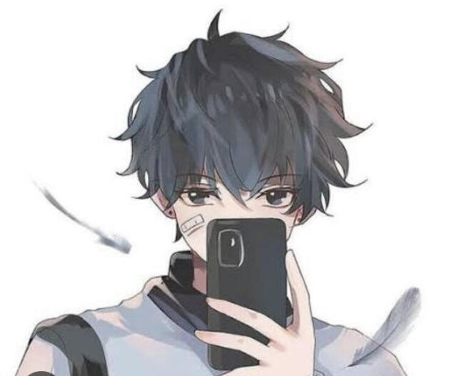 author_avatar