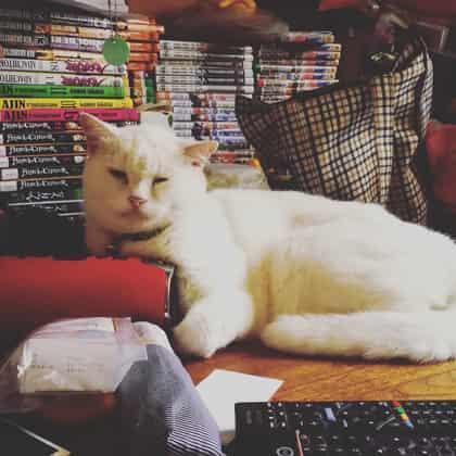 author_avatar