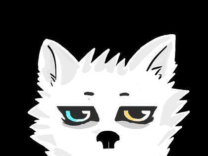 author_avatar
