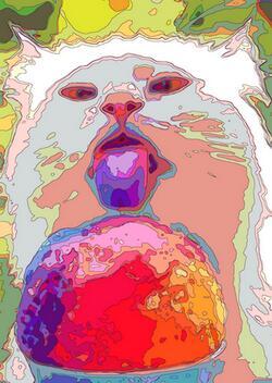 author_avatar
