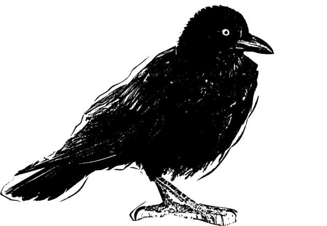 author_avatar