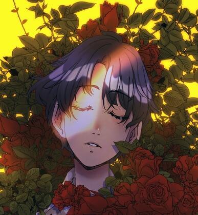 author_avatar