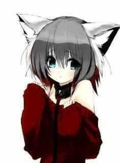 author_avatar