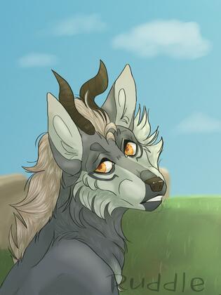 author_avatar