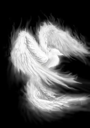 author_avatar