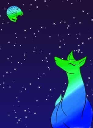 author_avatar