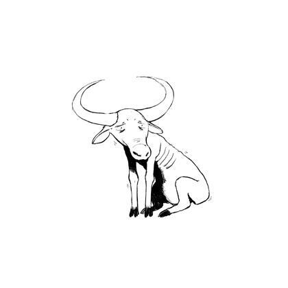 author_avatar